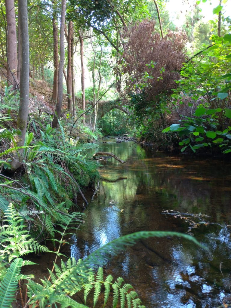 Ponte do Lagar do Azeite