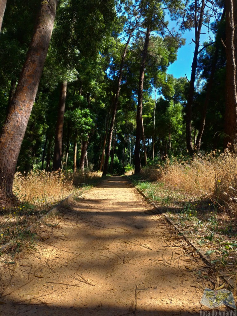 Parque do Buçaquinho