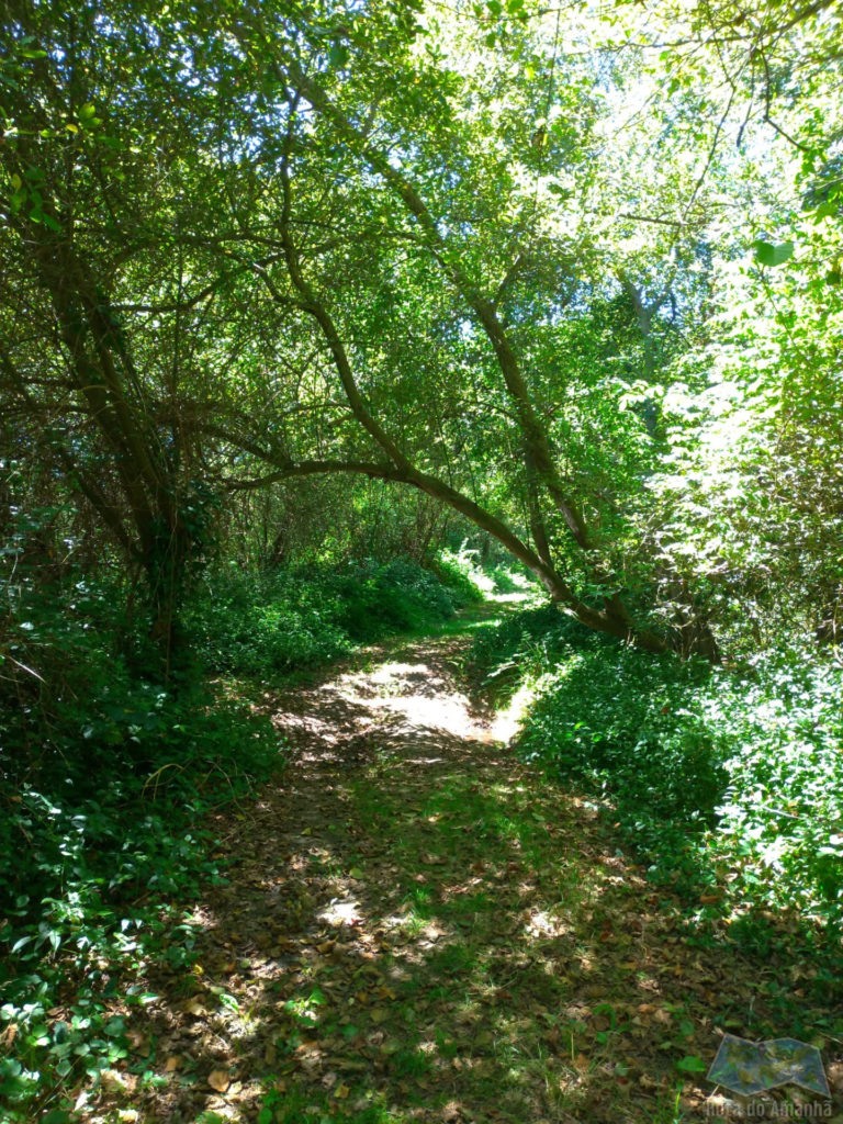 Bioria: percurso do rio jardim (pr2)