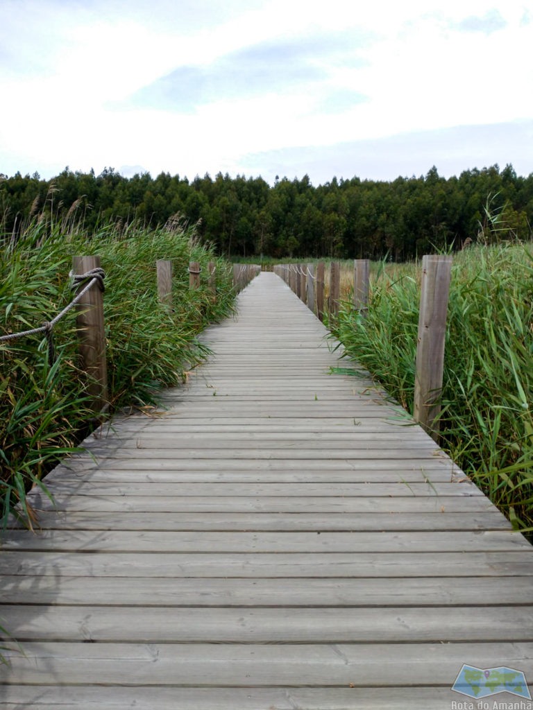 Passadiços de Aveiro