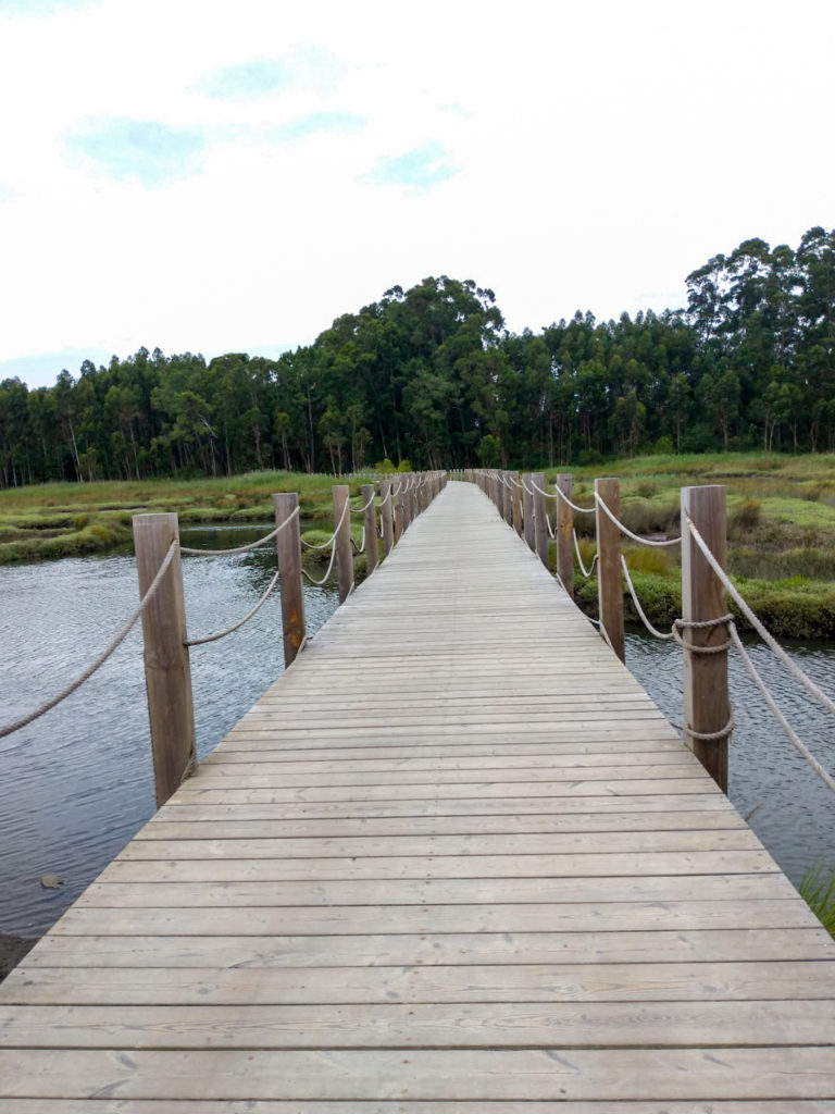 Passadiços de Aveiro