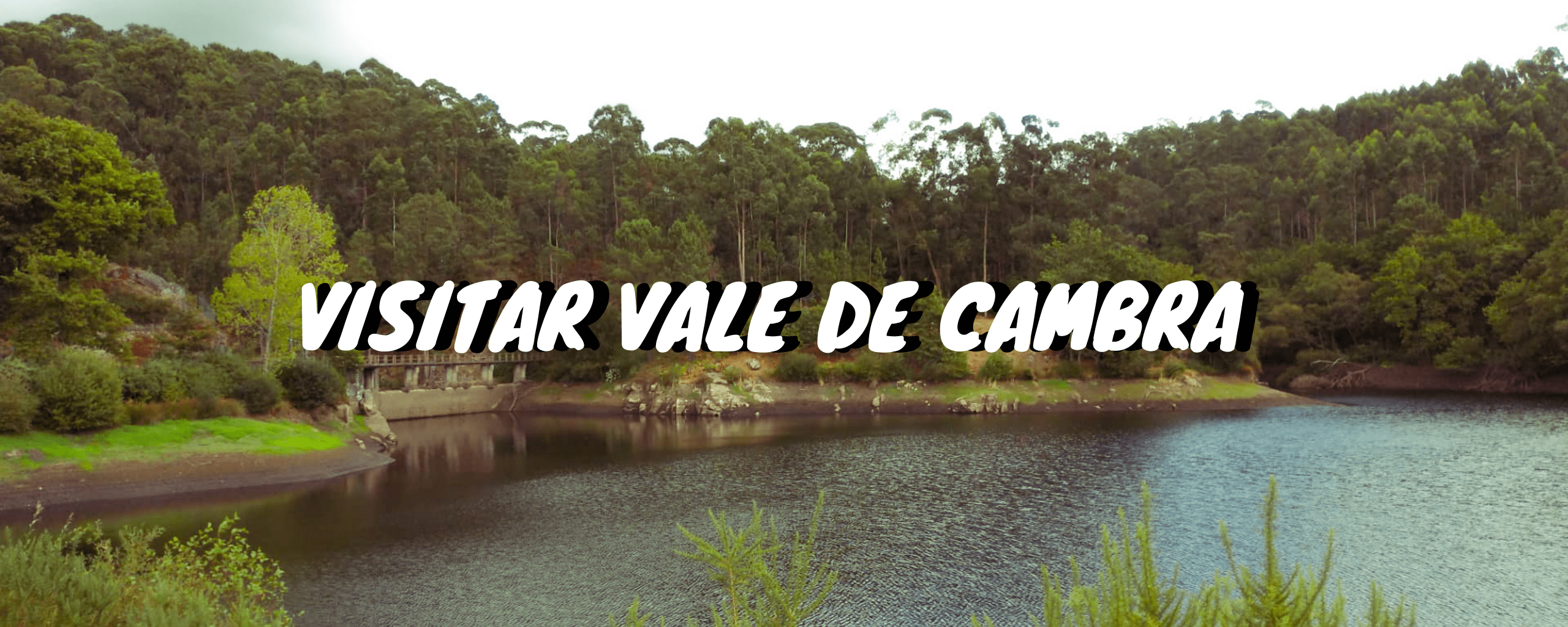 Header Vale de Cambra