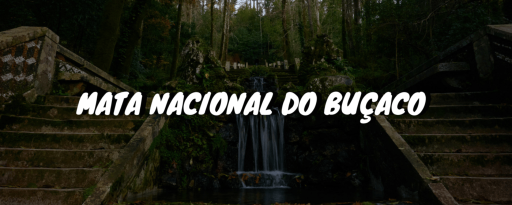 Buçaco Header