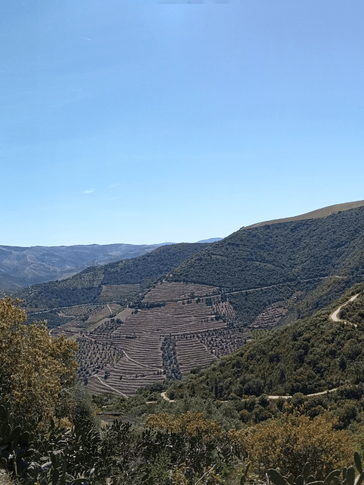 Mais Para Ver Douro Vinhateiro