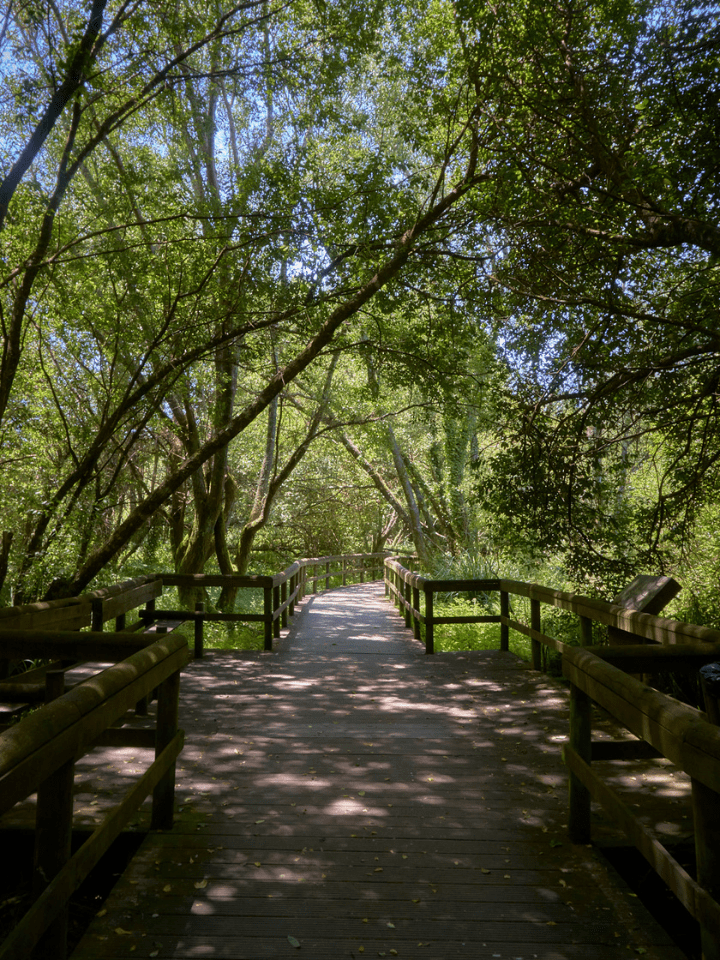 Passadiços Rio Uíma Mais Para Ver