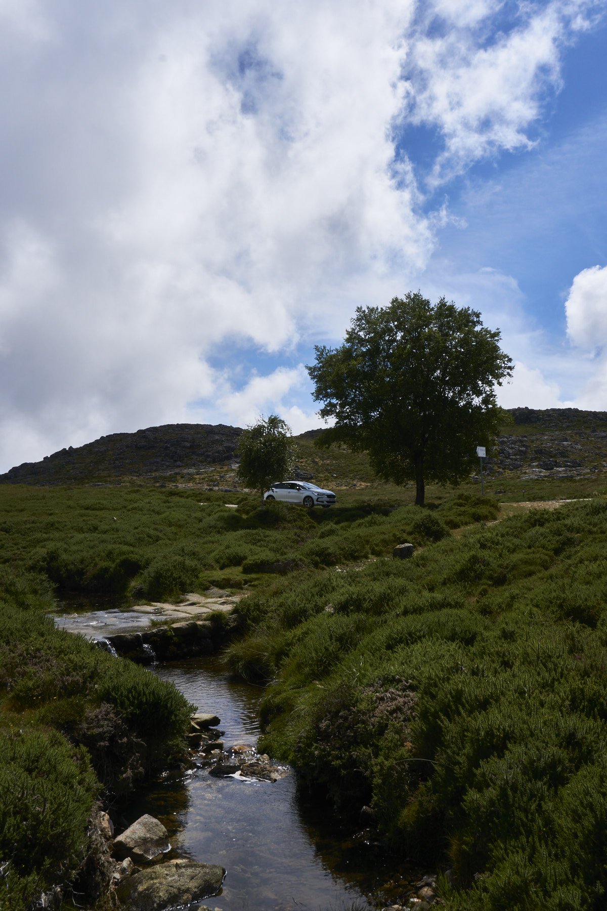 Ponte pedonal Arouca