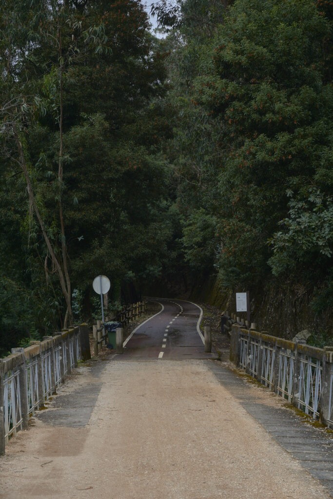 Ecopista do Vouga na Rota das Laranjeiras