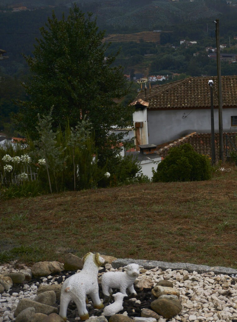 Zona habitacional Rota das Laranjeiras