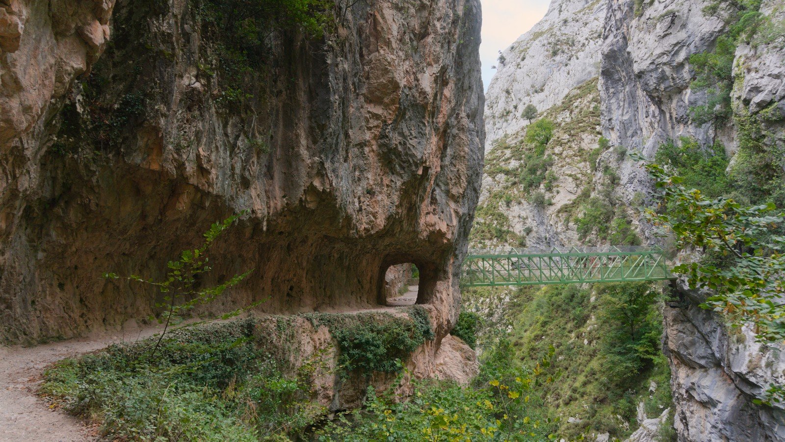 Puente de Los Rebecos