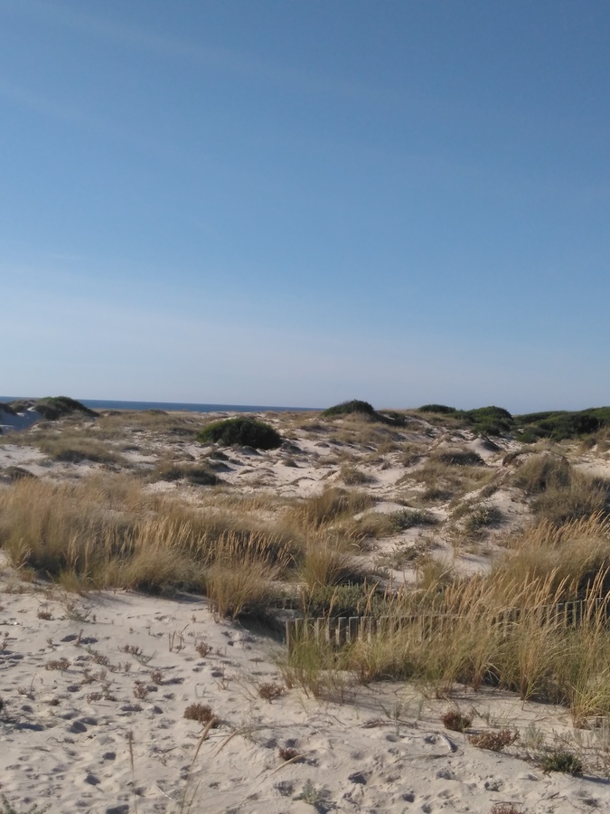 Dunas na Praia de S. Jacinto