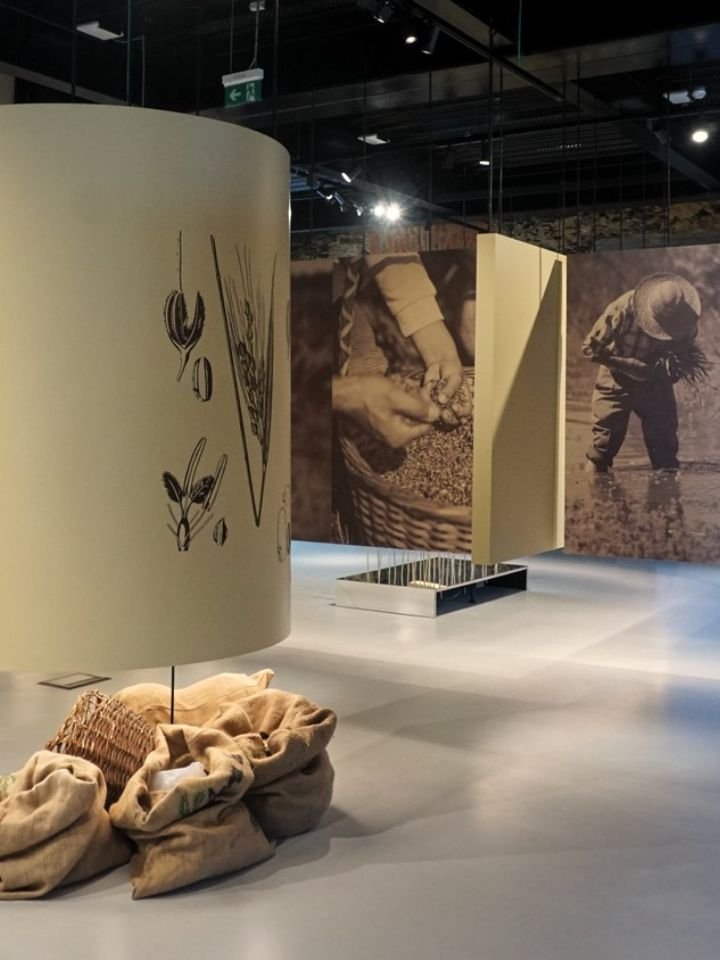 Museu Fábrica da História - Arroz