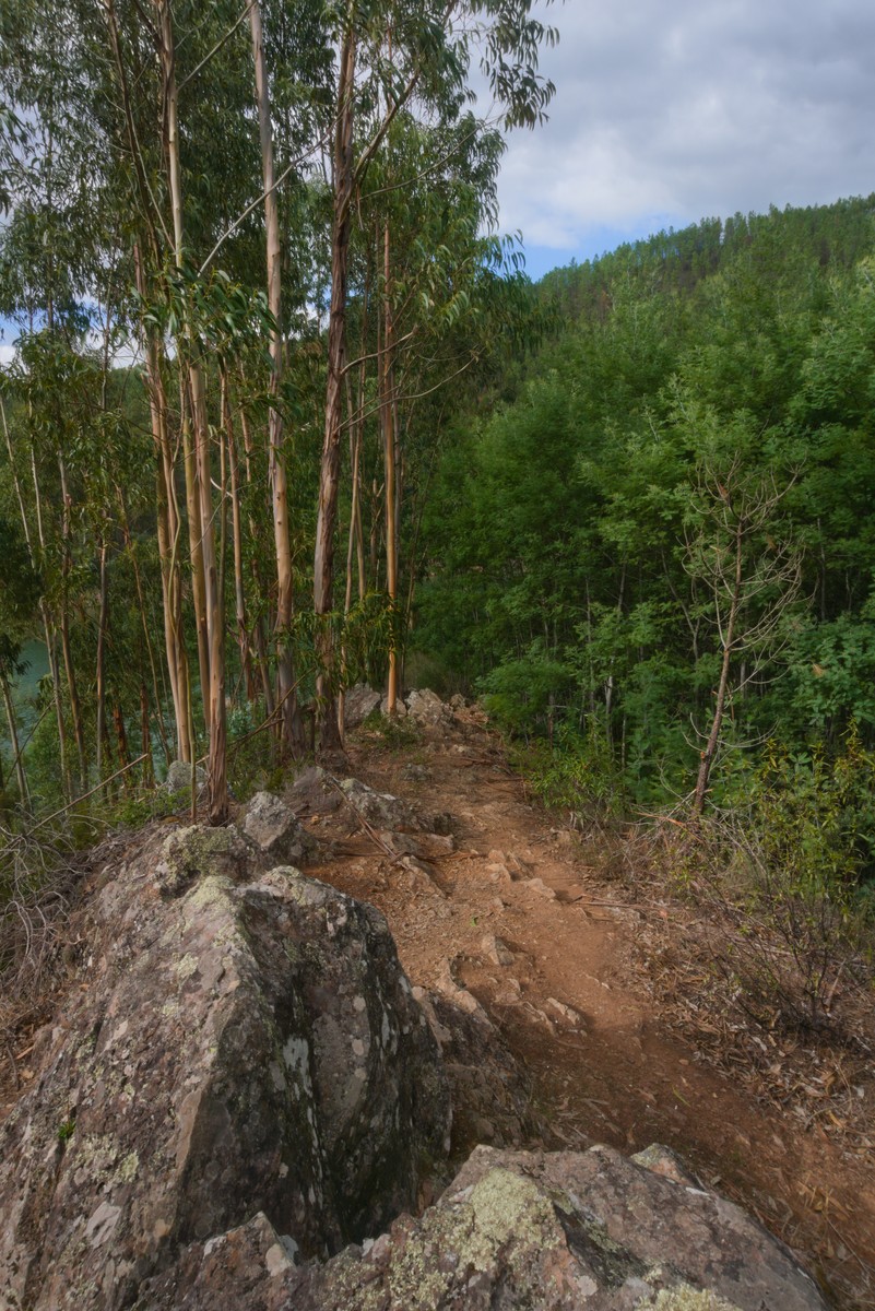 Caminho até à Ponta da Península de Dornes