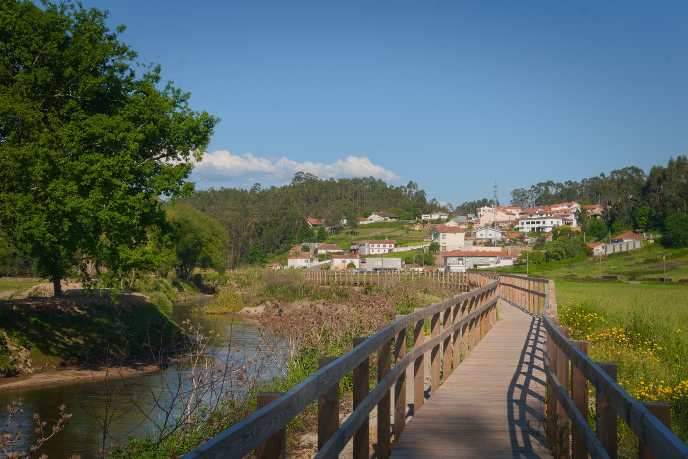 Passadiços do Antuã