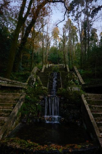 Bussaco_1