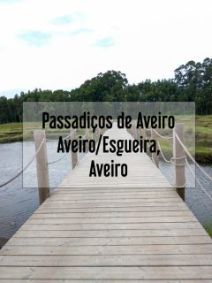 mais para ver passadiços aveiro